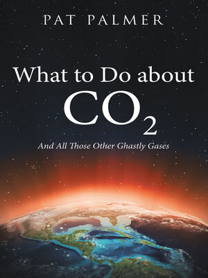 cover image of What to Do About Co2